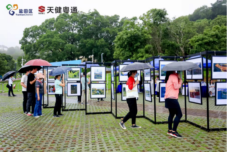 1654158700(1).jpg 1654158700(1).jpg